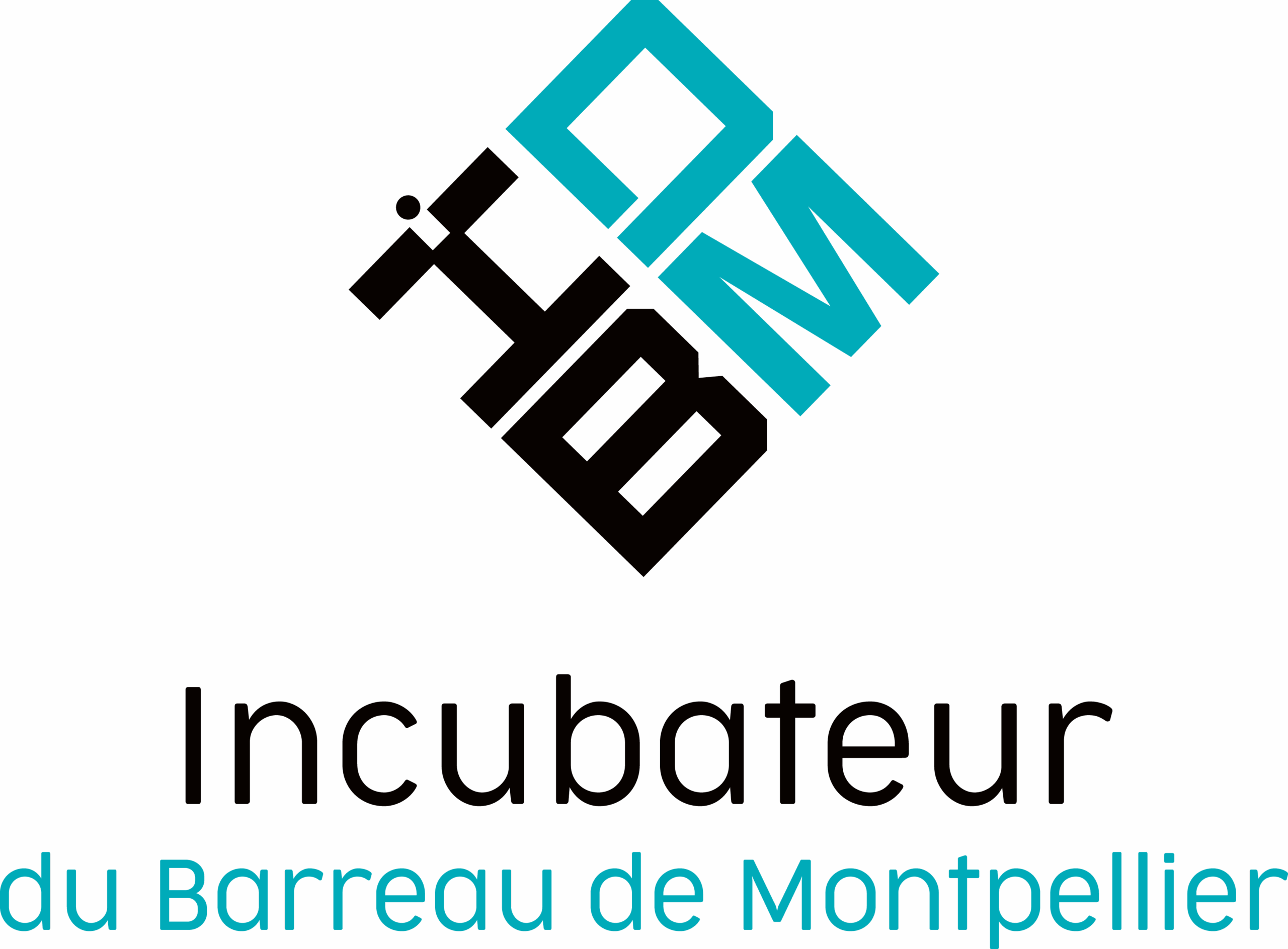 Logo 12